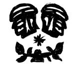 379_MatschfussSpring_TimetableApp_Assets_20250401_13