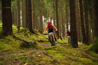 Treibjagd im Dunkelwald 03