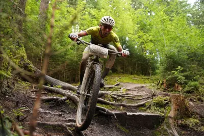 Treibjagd im Dunkelwald 11