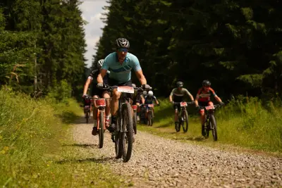 Treibjagd im Dunkelwald 16